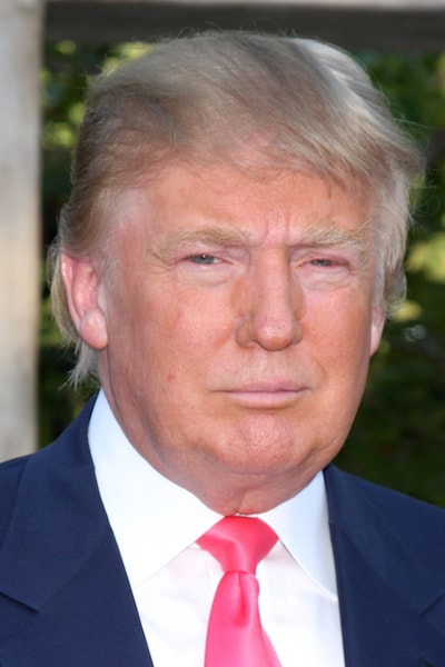 The Ongoing Mystery of Donald Trump's Hair