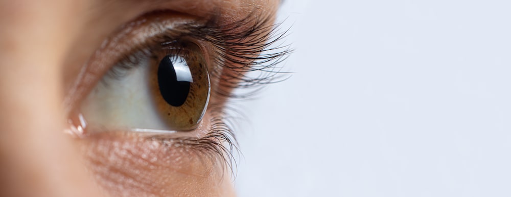 Eyelash Transplant Examined and Explained