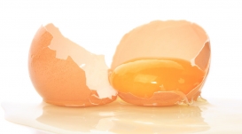 Egg Yolks - Next Big Thing for Hair Growth?