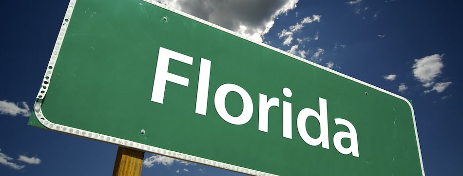 Most searched procedures in Florida