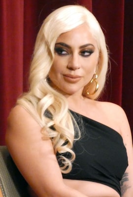 Lady Gaga Plastic Surgery Debate